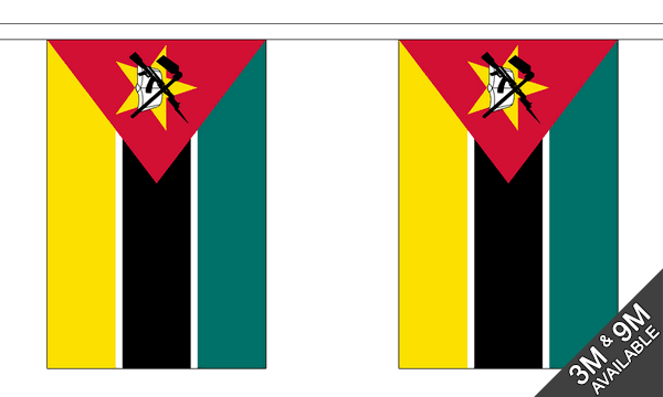 Mozambique Bunting